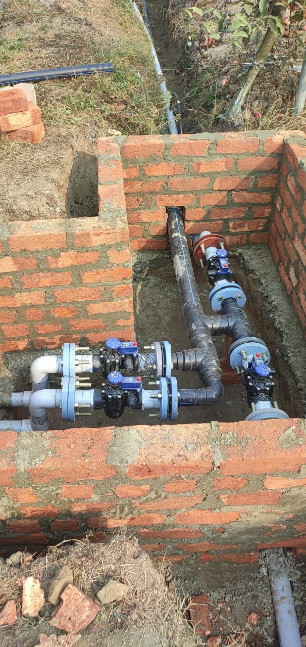 Safari Image